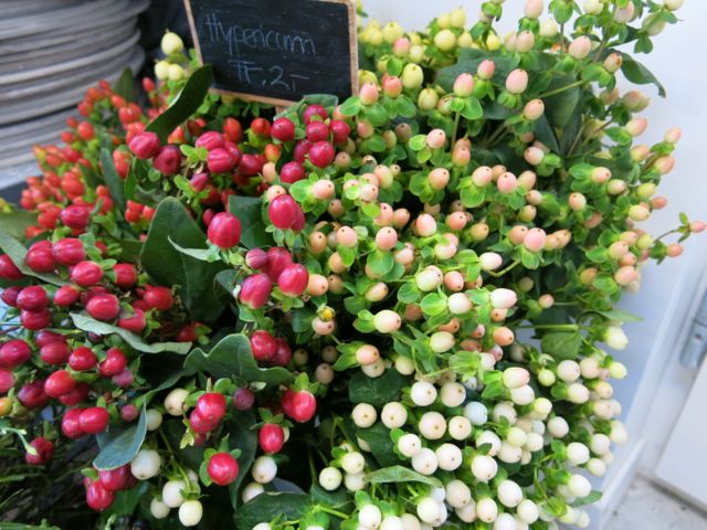 Blumenkursfotos06
